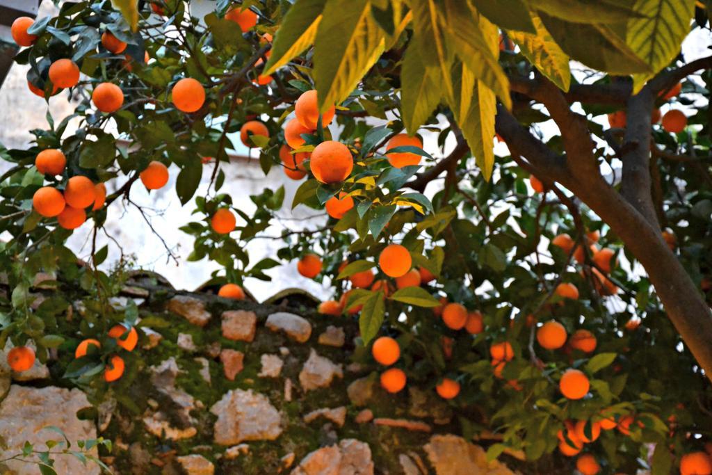 Giardino Del Sole Lägenhet Taormina Exteriör bild